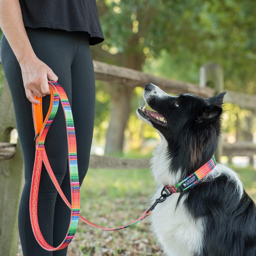 Double-Thick 6 Foot Reflective Leash with Padded Handle - Pattern Collection