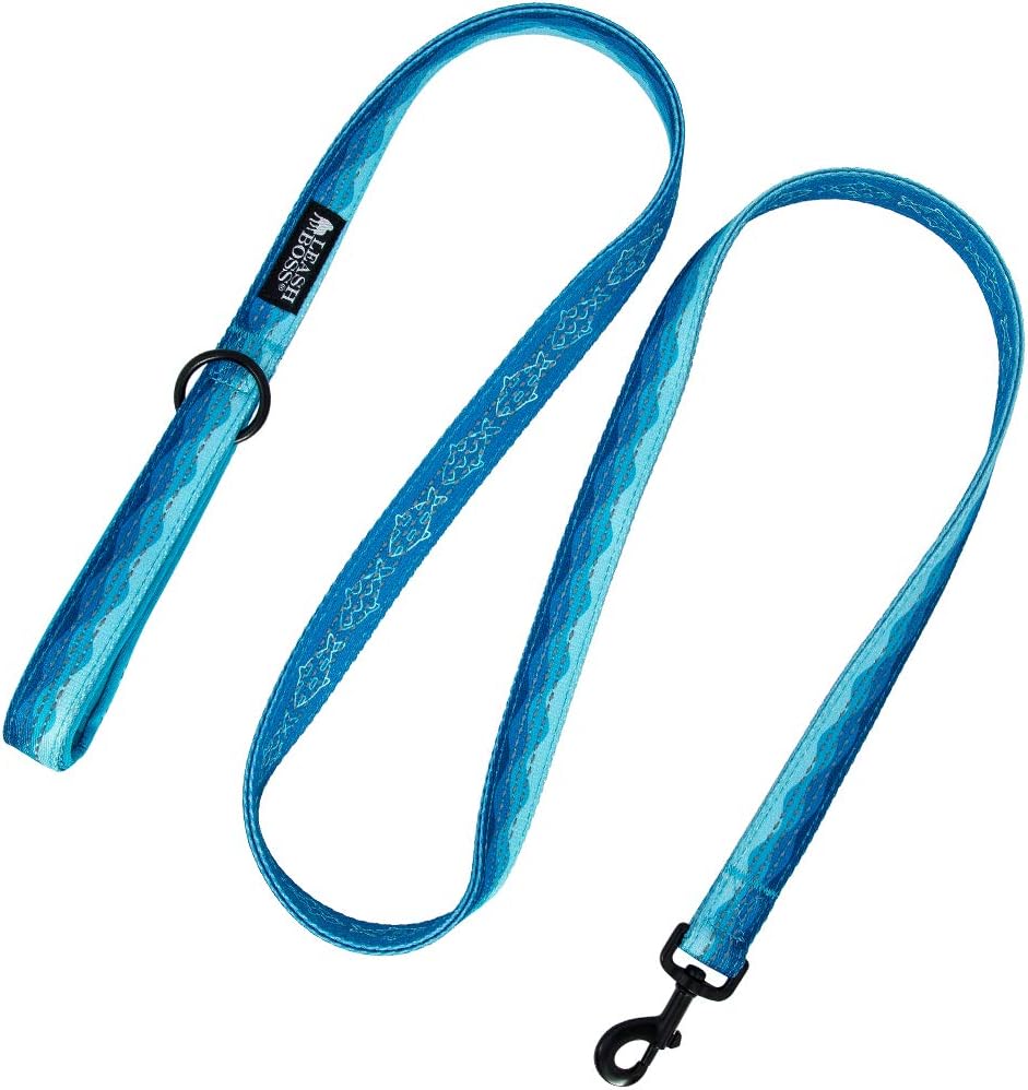 Double-Thick 6 Foot Reflective Leash with Padded Handle - Pattern Collection