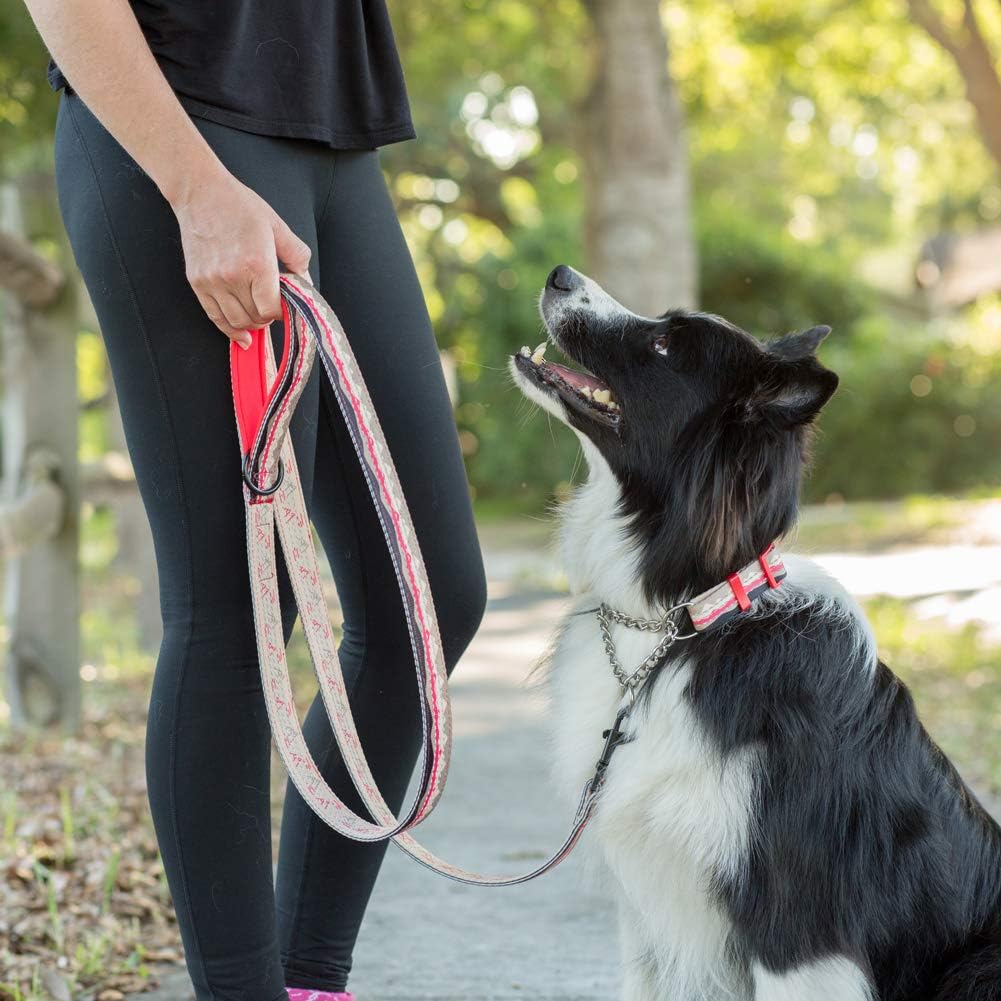 Double-Thick 6 Foot Reflective Leash with Padded Handle - Pattern Collection