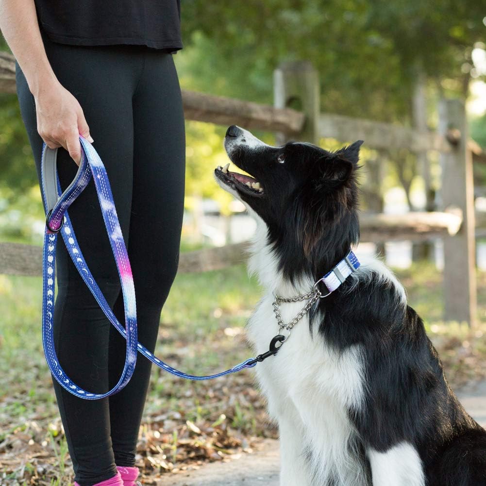 Patterned Reflective Chain Martingale Dog Collar - Pattern Collection