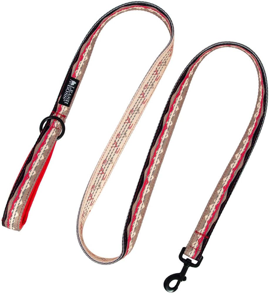 Double-Thick 6 Foot Reflective Leash with Padded Handle - Pattern Collection