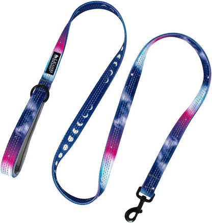 Double-Thick 6 Foot Reflective Leash with Padded Handle - Pattern Collection