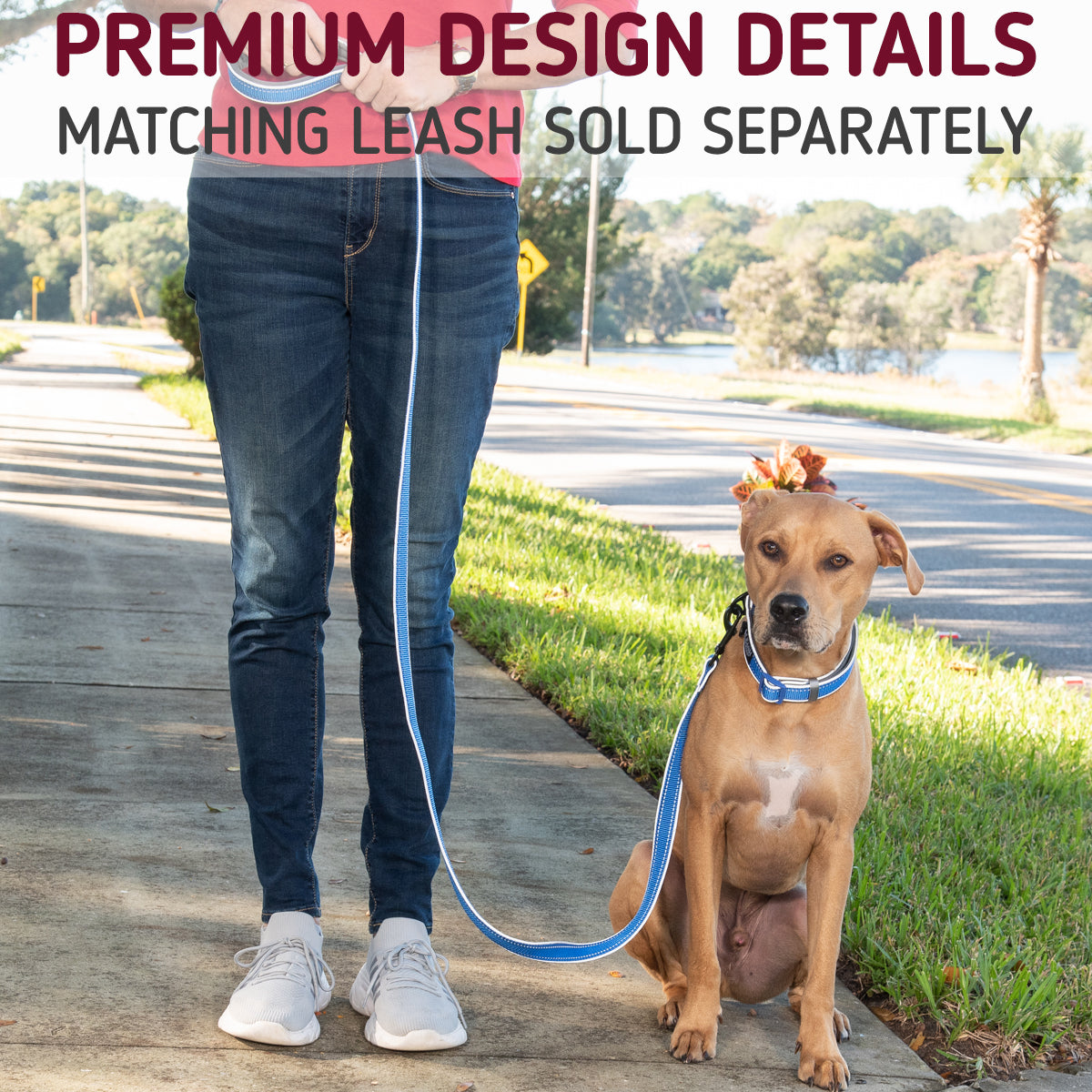 Adjustable Reflective Dog Collar - a premium pet accessory. Enhance visibility during walks with this durable, customizable collar. Ideal for night strolls, the reflective design ensures your furry friend stays seen. Elevate pet safety and style with our adjustable collar for dogs. Order now