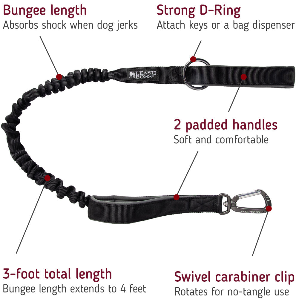 Maximize control and comfort during your dog&