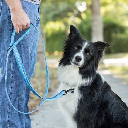 Double-Thick 6 Foot Reflective Leash with Padded Handle - Pattern Collection