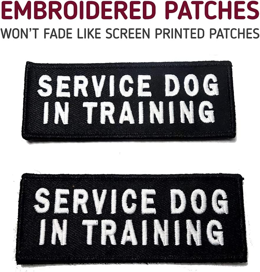 Embroidered Service Dog In Training Dog Patches with Hook/Loop - Leashboss