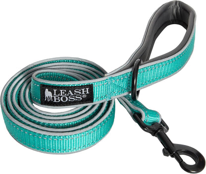 Double-Thick 6 Foot Reflective Leash with Padded Handle