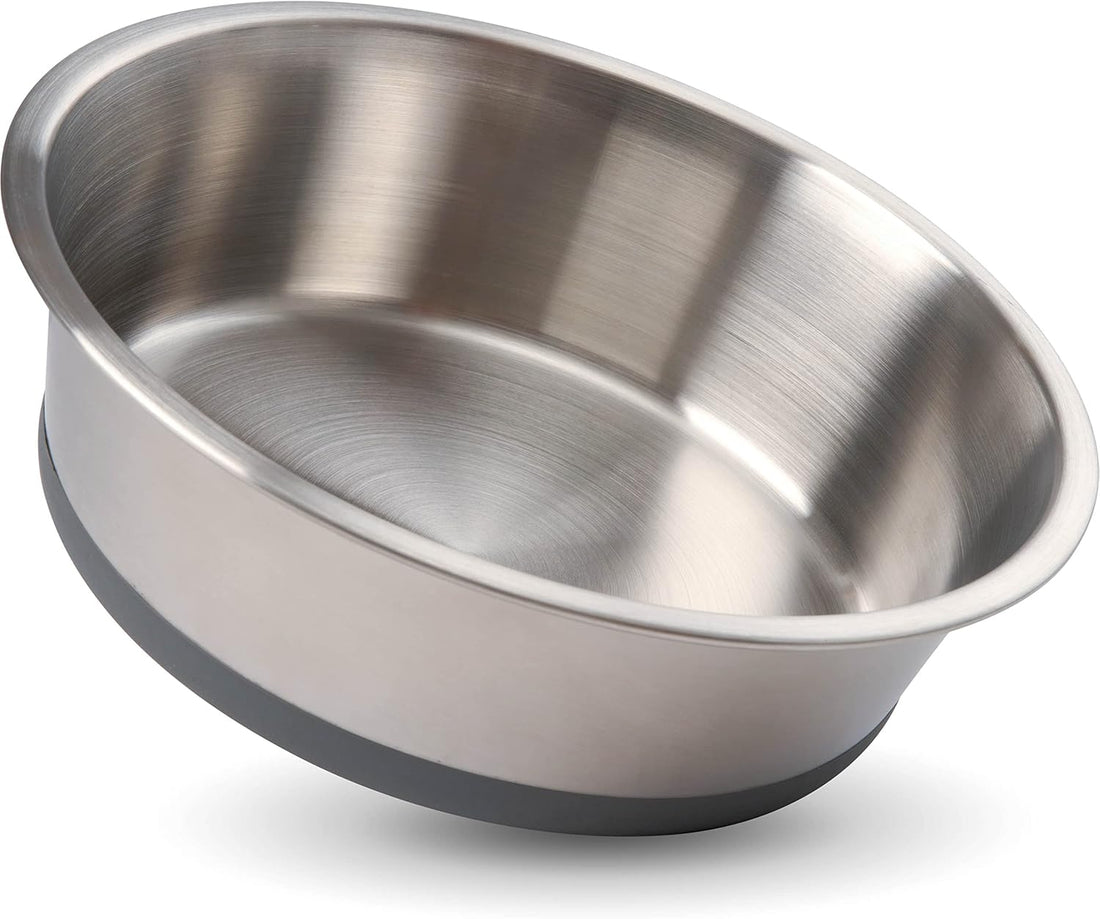 Stainless Steel Dog Bowl with Silicone Base