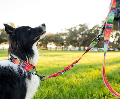 Patterned 18&quot; Shock Absorbing Bungee Leash Extender - Pattern Collection