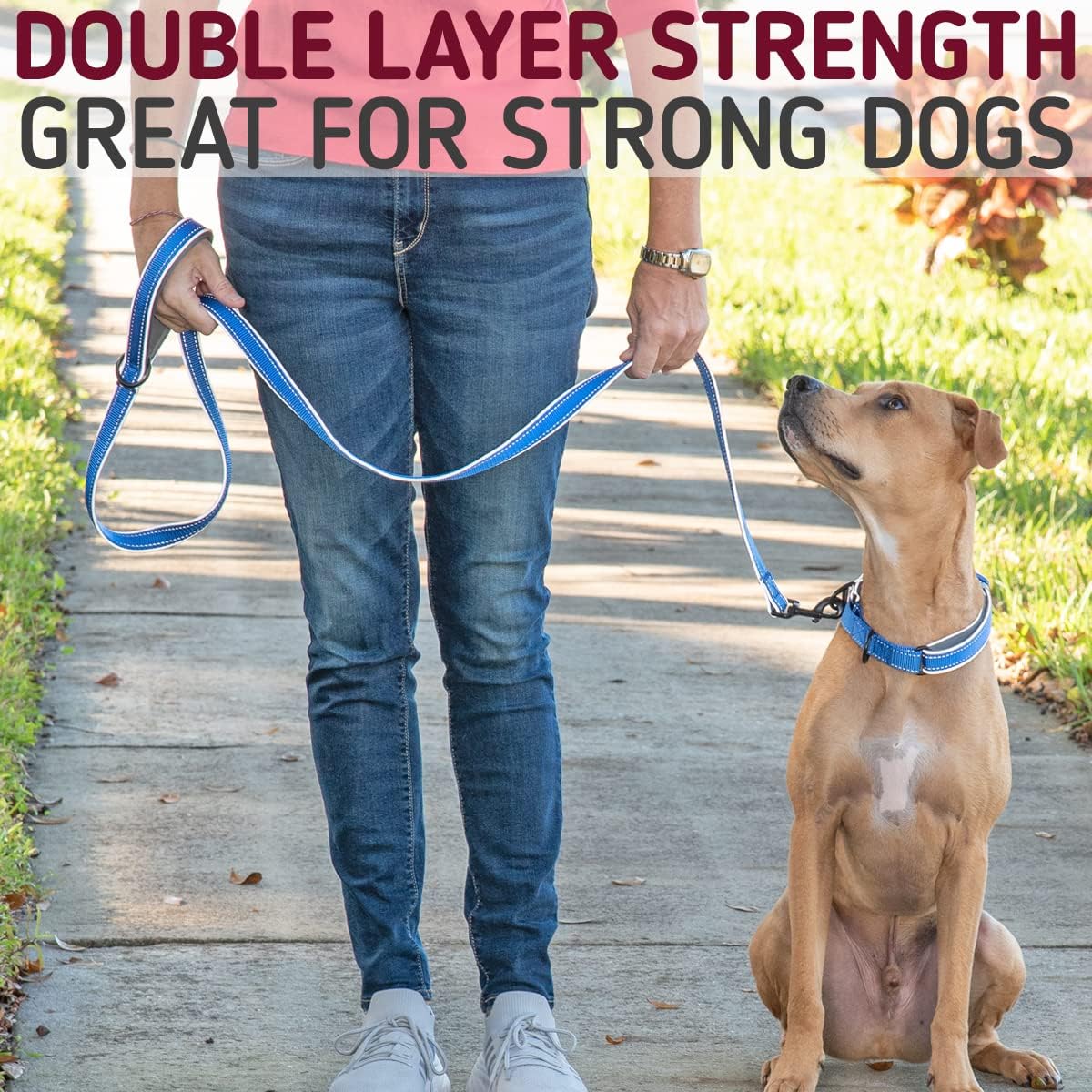 Double-Thick 6 Foot Reflective Leash with Padded Handle