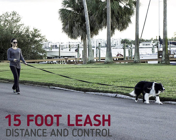 Leashboss 15 shop foot dog leash