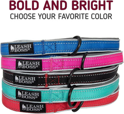 Double-Thick 6 Foot Reflective Leash with Padded Handle