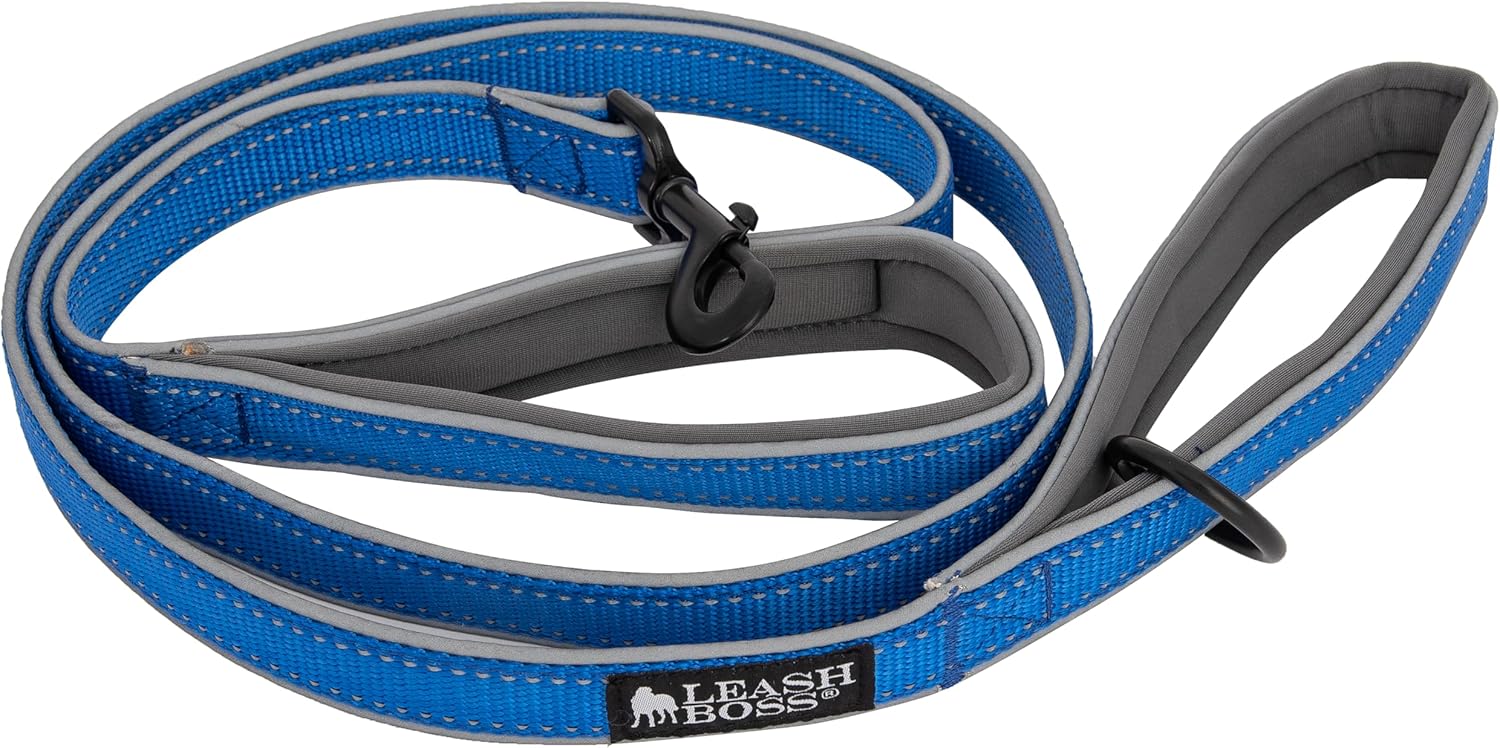 Double Handle 6 Foot Reflective Leash with Padded Handle