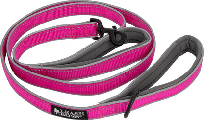 Double Handle 6 Foot Reflective Leash with Padded Handle