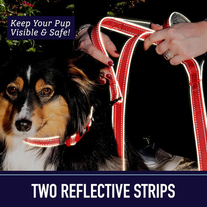 Double Handle 6 Foot Reflective Leash with Padded Handle