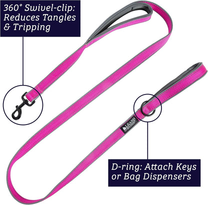 Double Handle 6 Foot Reflective Leash with Padded Handle