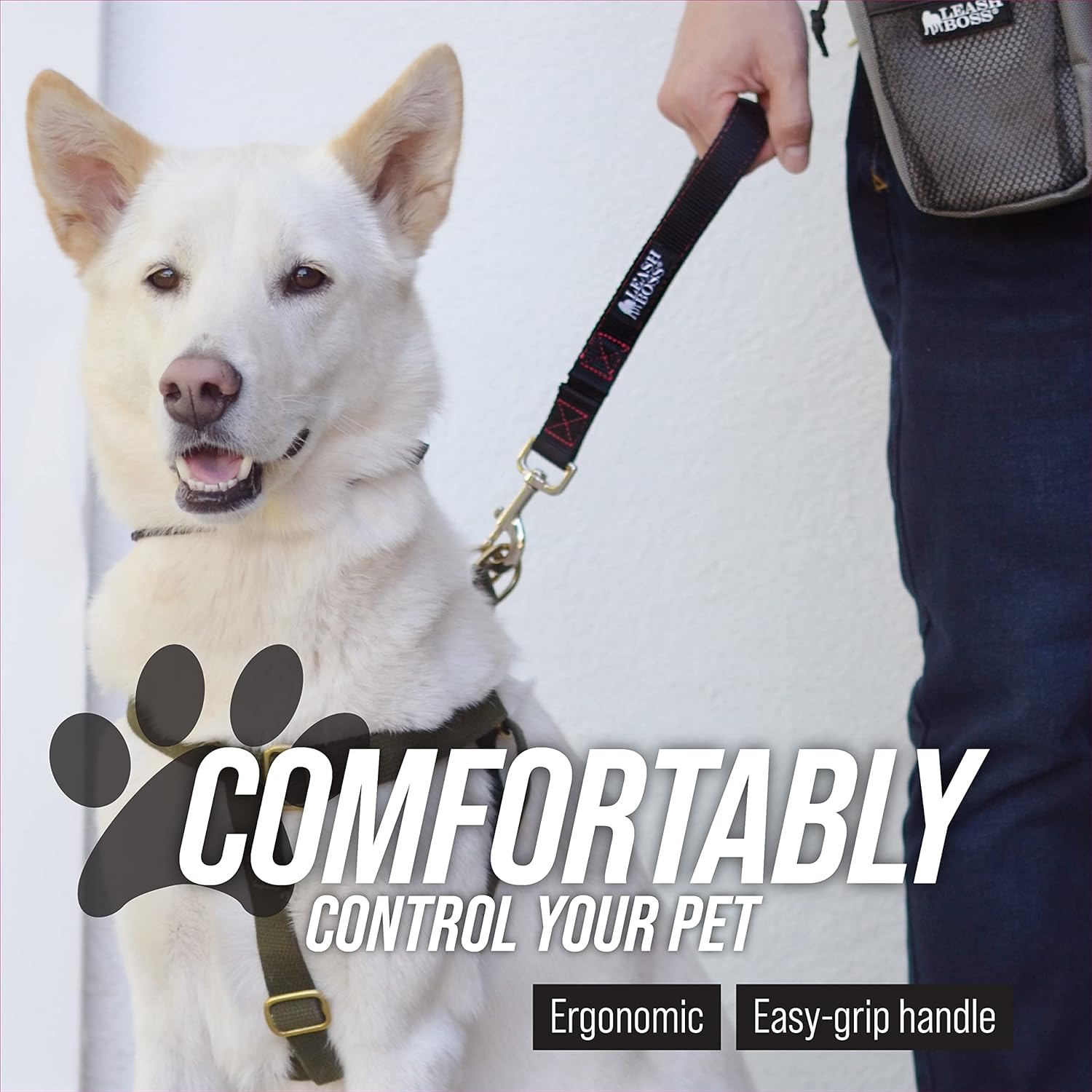 30 Inch Dog Leash with Padded Handle