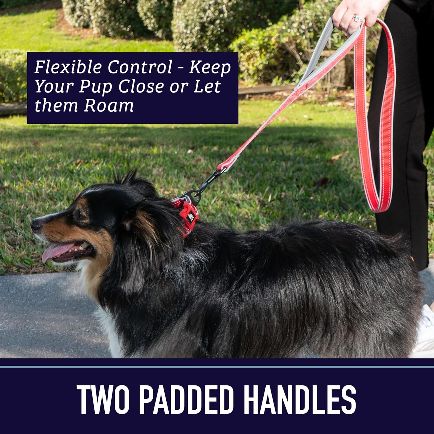 Double Handle 6 Foot Reflective Leash with Padded Handle