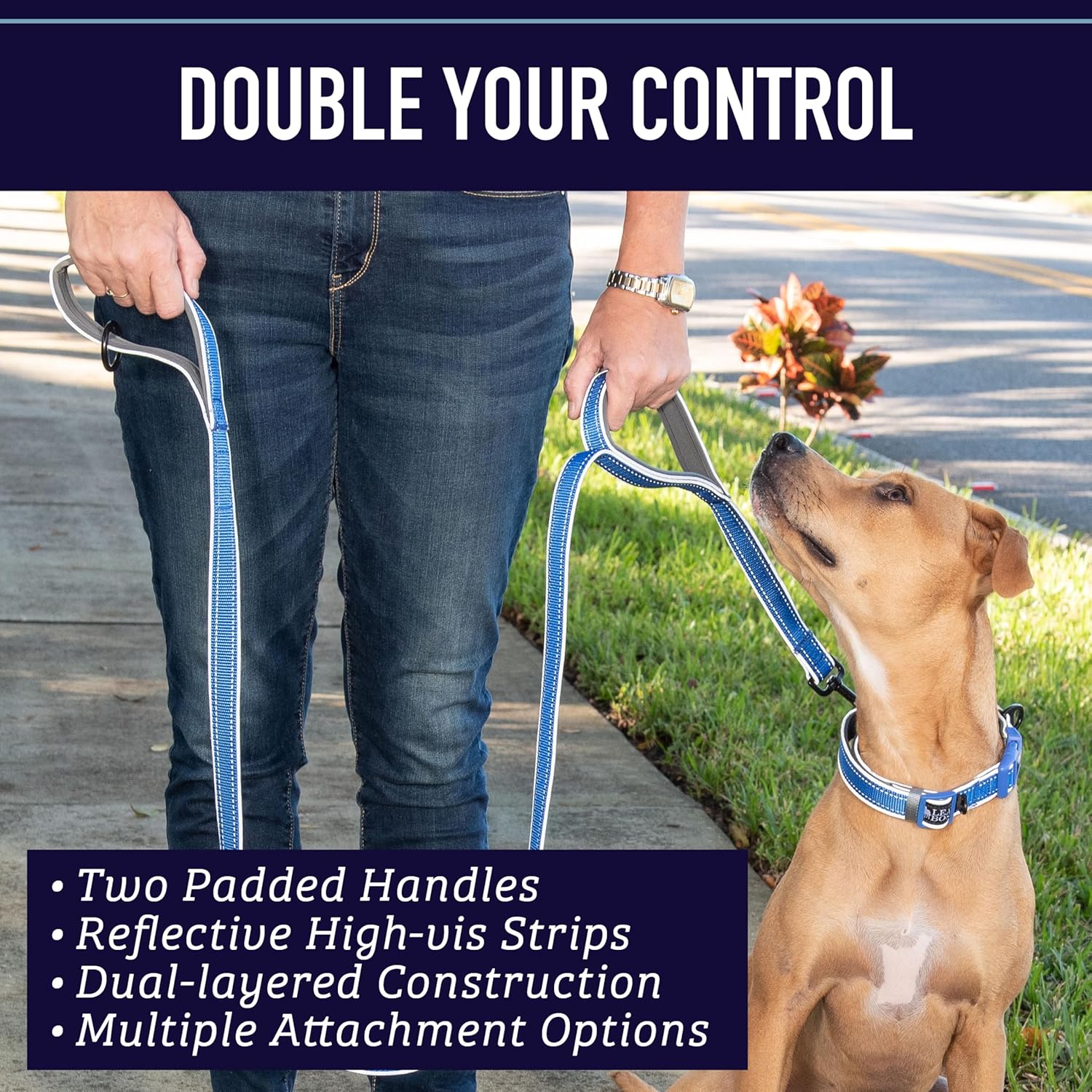 Double Handle 6 Foot Reflective Leash with Padded Handle