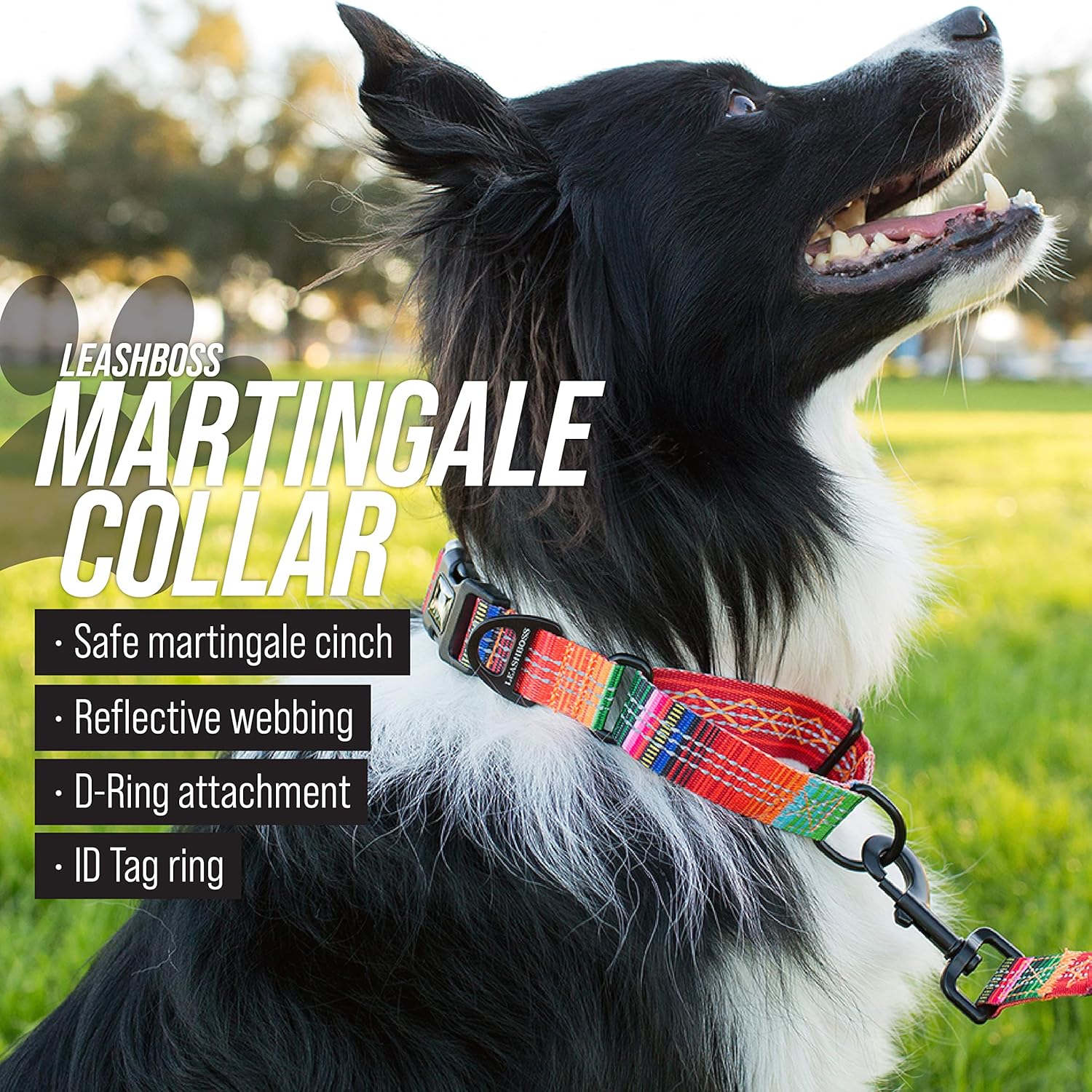 Adjustable Reflective Fabric Martingale Dog Collar