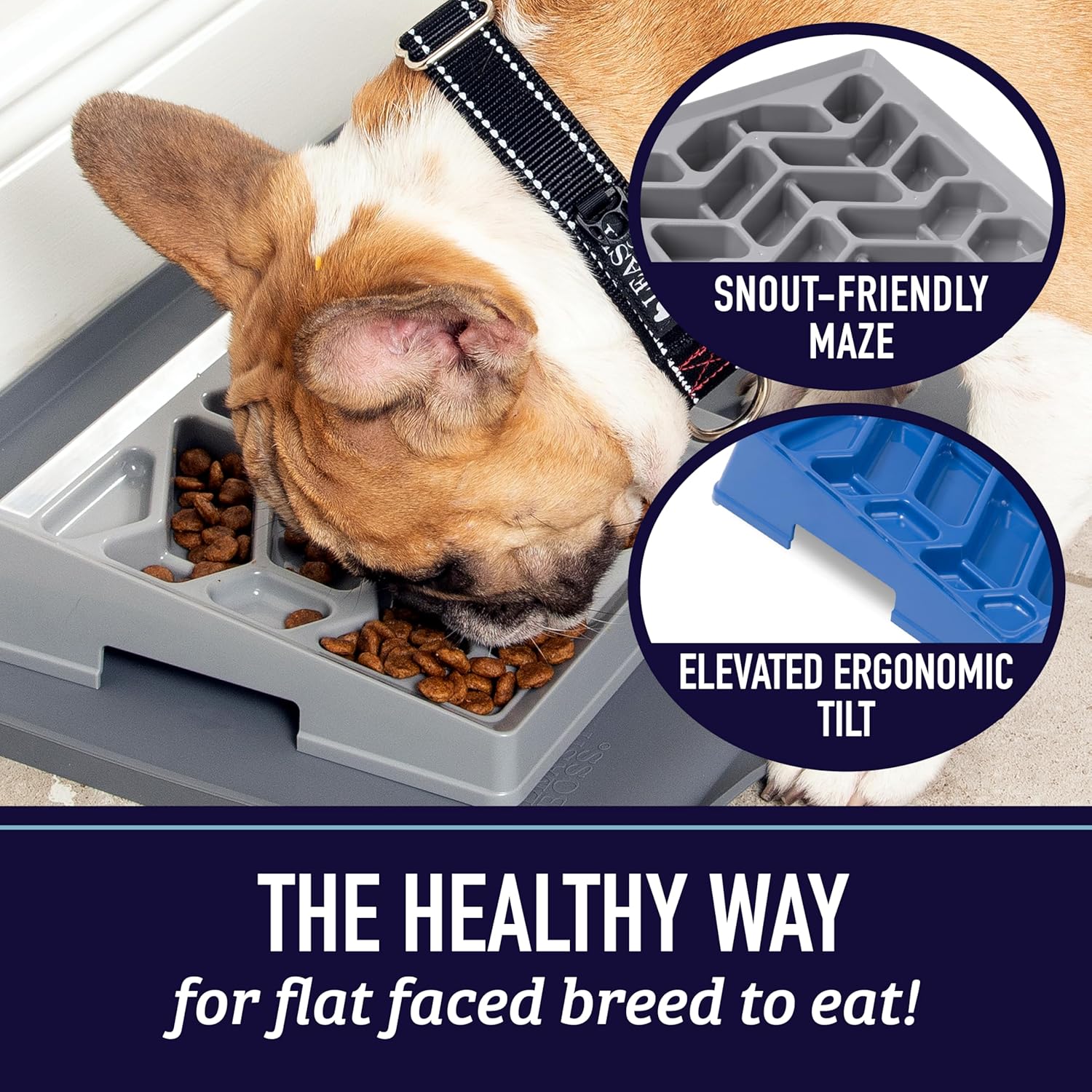 Flat Face Feeder - Slow Feed Bowl for Short Snout Dogs &amp; Cats