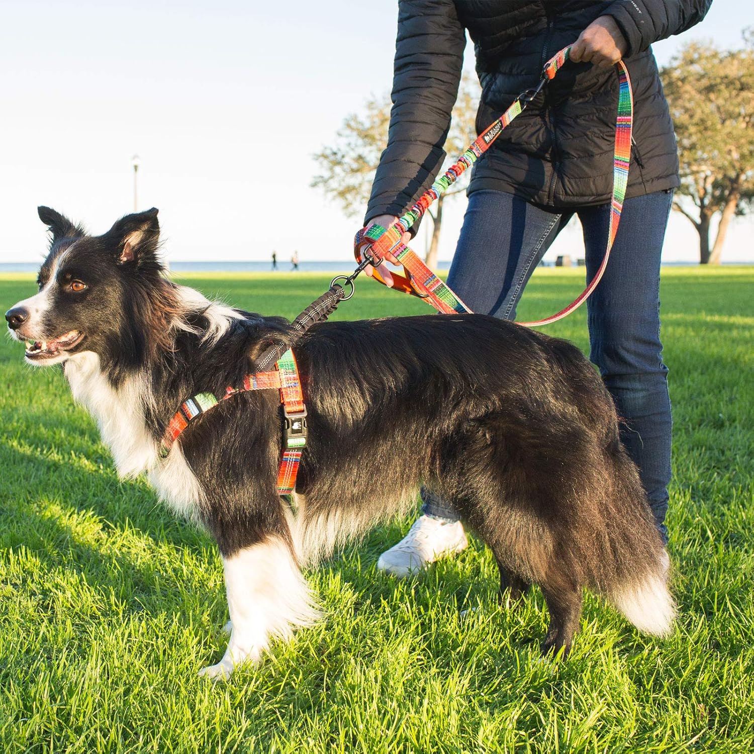 Patterned 18&quot; Shock Absorbing Bungee Leash Extender - Pattern Collection