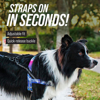 Patterned Reflective No-Pull Harness with Bungee Handle - Pattern Collection