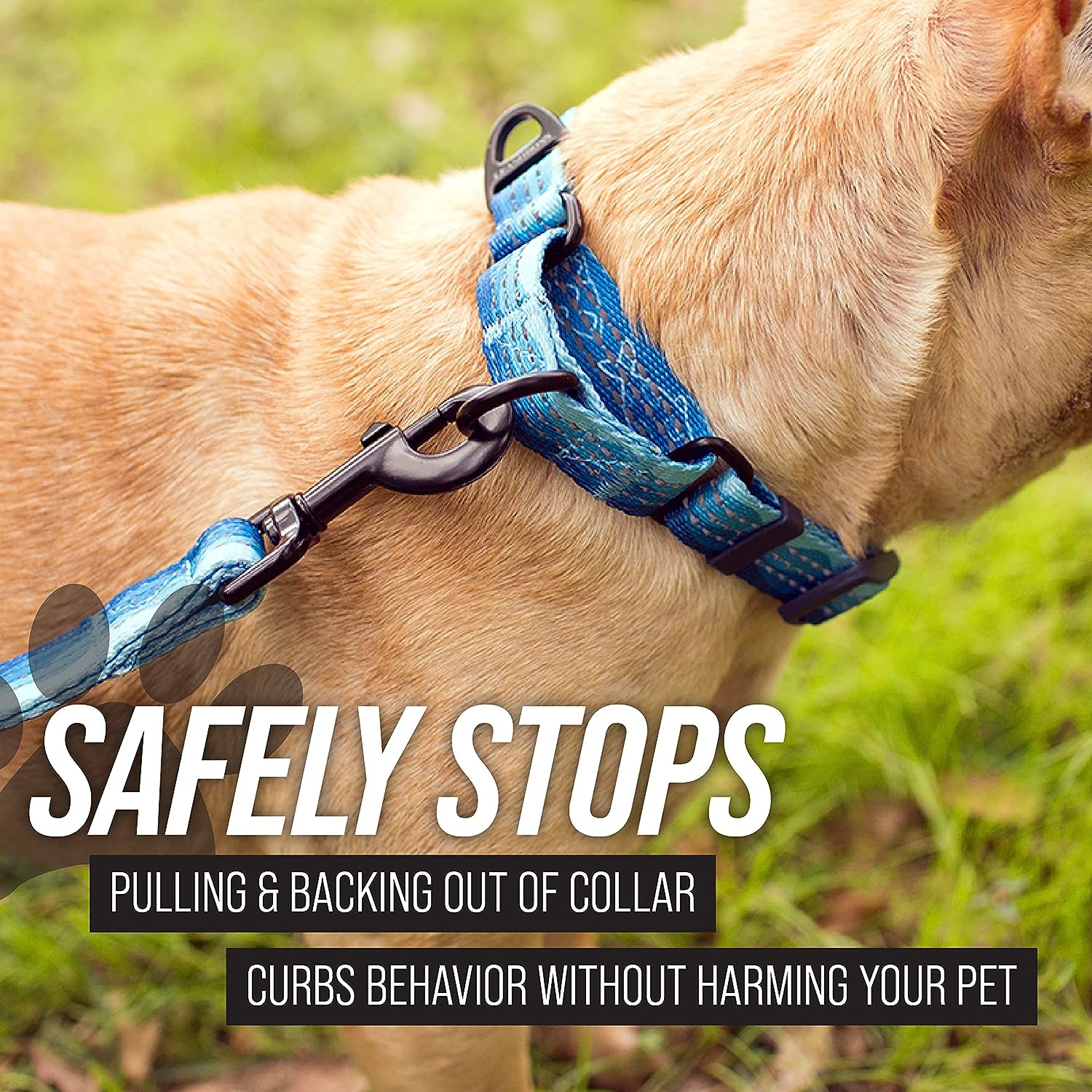 Explore our stylish Pattern Collection Martingale Dog Collar featuring a vibrant and reflective fabric design. Crafted for durability and safety, this collar combines fashion with function. Discover the perfect blend of style and visibility for your furry friend. Upgrade your dog&