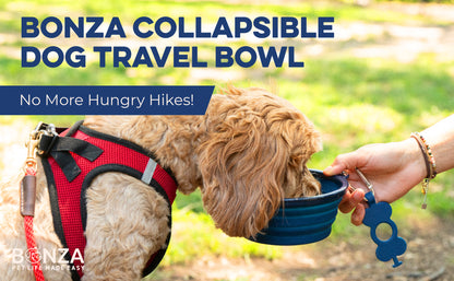 Bonza by Leash Boss Collapsible Dog Bowls