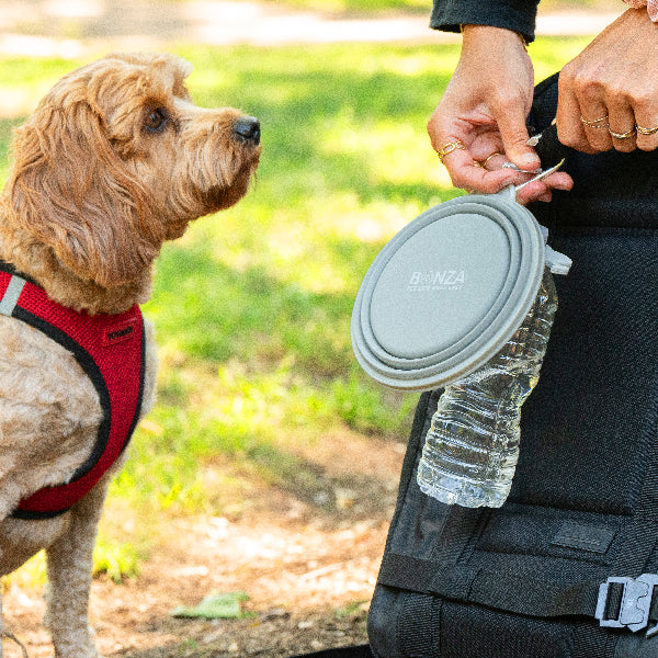 Bonza by Leash Boss Collapsible Dog Bowls