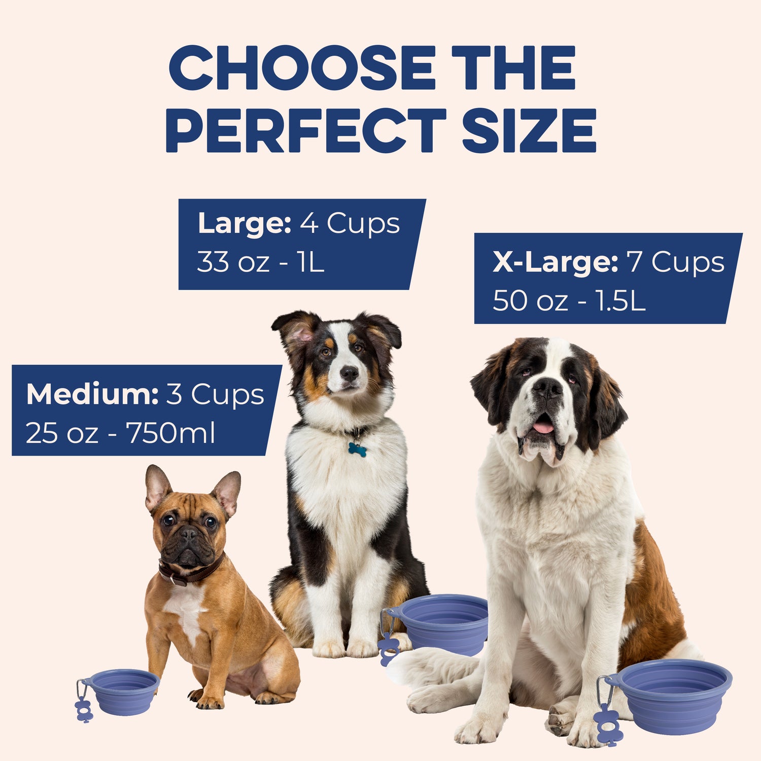 Bonza by Leash Boss Collapsible Dog Bowls