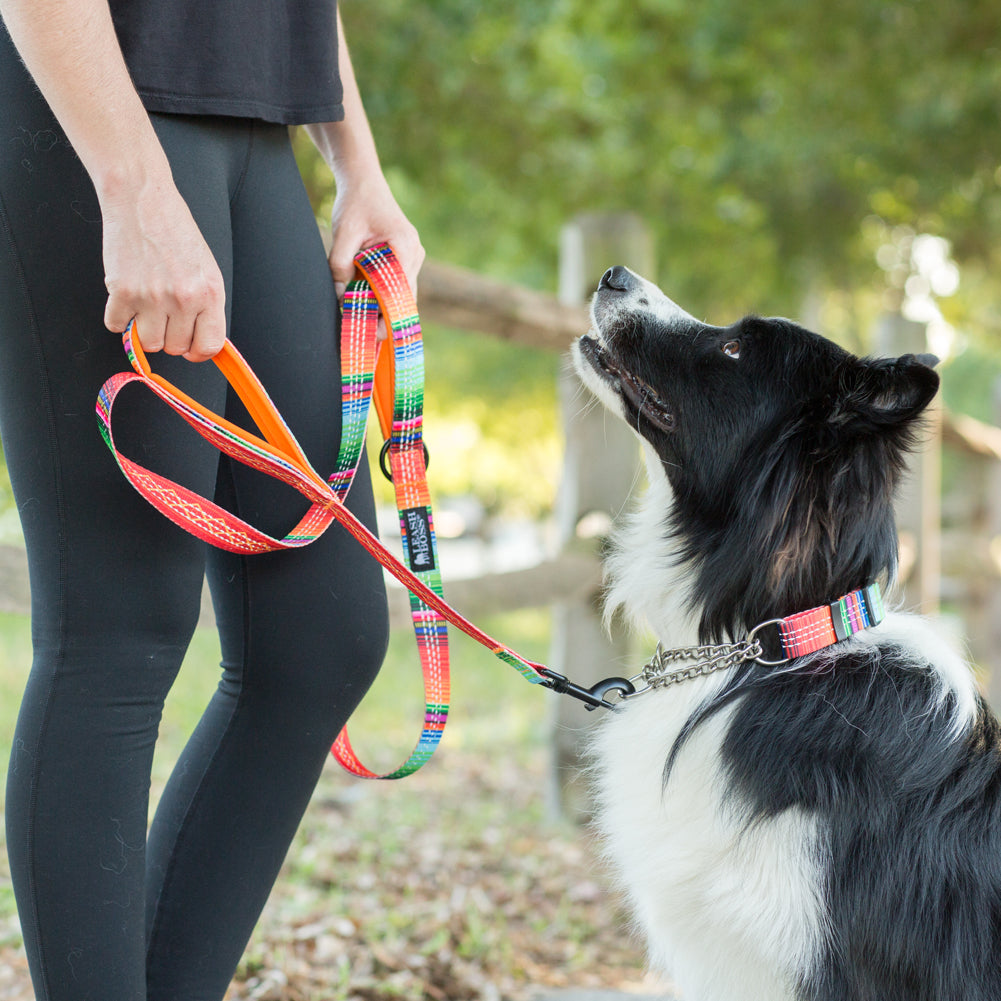 nhance your dog walking experience with the Leashboss Double Handle Dog Leash from the Pattern Collection. This 6Ft Reflective Dog Leash is ideal for large or medium dogs that pull. Featuring two padded handles, it ensures comfort and control, making walks safer and more enjoyable. Upgrade your pet gear today.