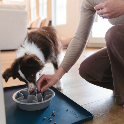 Slow Feed Bowl