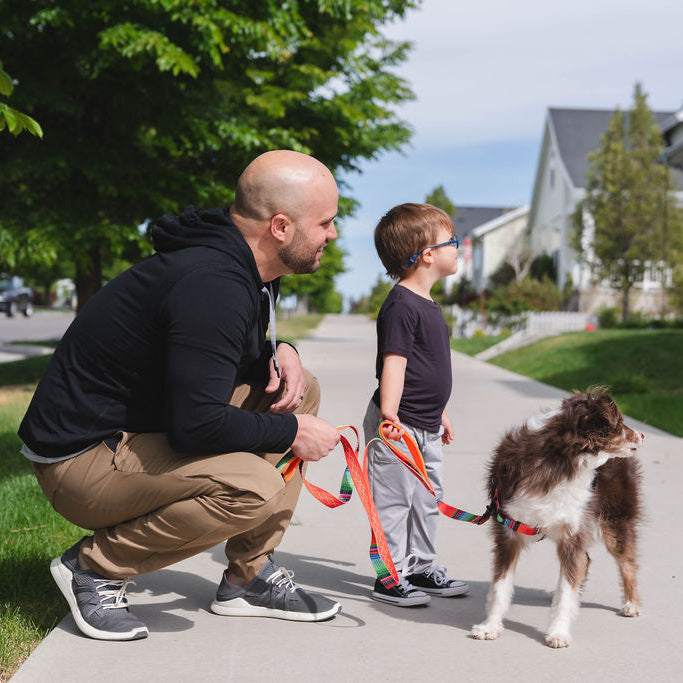 Two Handle Dog Leash