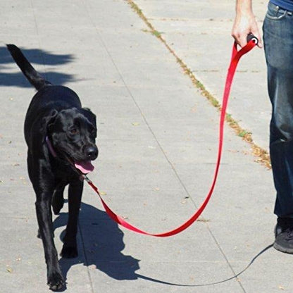 City Handler - Dog Leash with Handle for Large Dogs