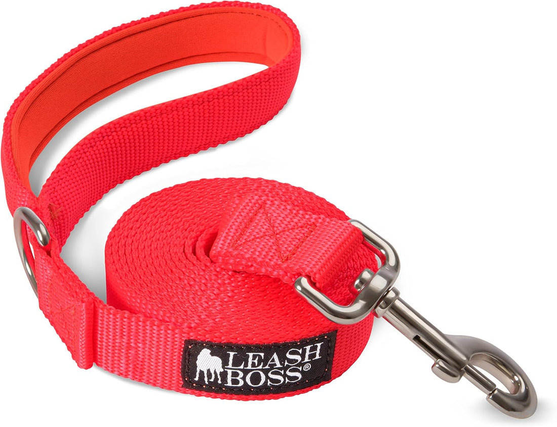 Dog Leash with Padded Handle