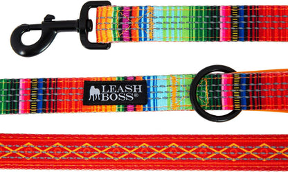 Double-Thick 6 Foot Reflective Leash - Pattern Collection