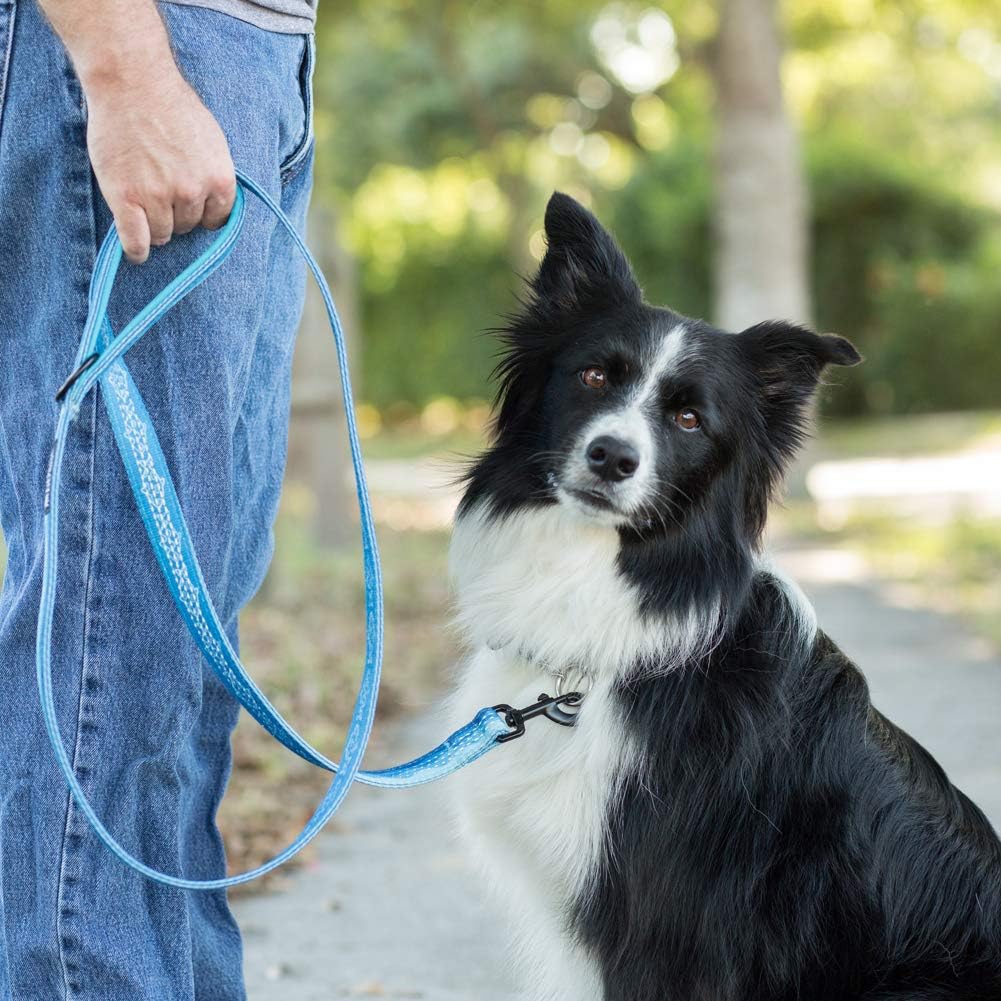 Double-Thick 6 Foot Reflective Leash - Pattern Collection