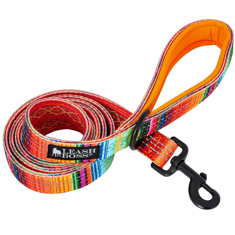 Explore safety and style with our top-ranked Double-Thick 6 Foot Reflective Leash from the Pattern Collection. This SEO-optimized image alt text highlights the durability and comfort of the padded handle, ensuring your dog walks in fashion and security. Trust the best for your furry friend&