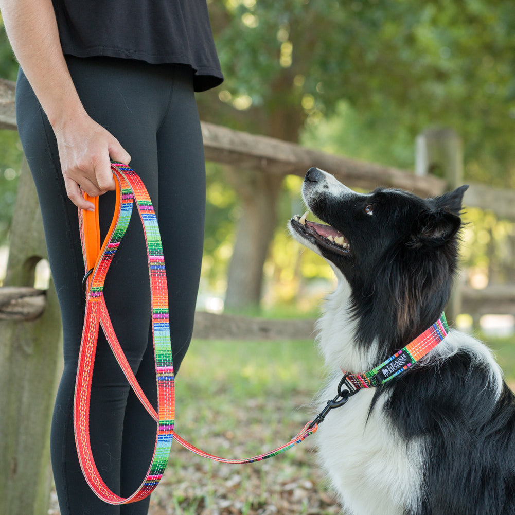 Blanket pattern reflective dog collar