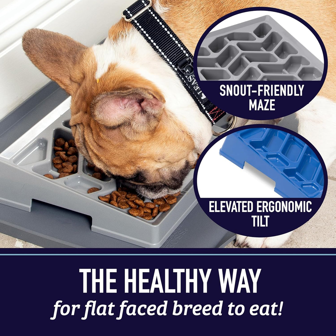 Flat Slow Feed Bowl