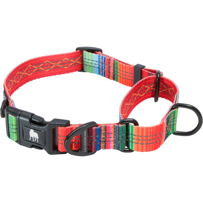 Martingale Dog Collar