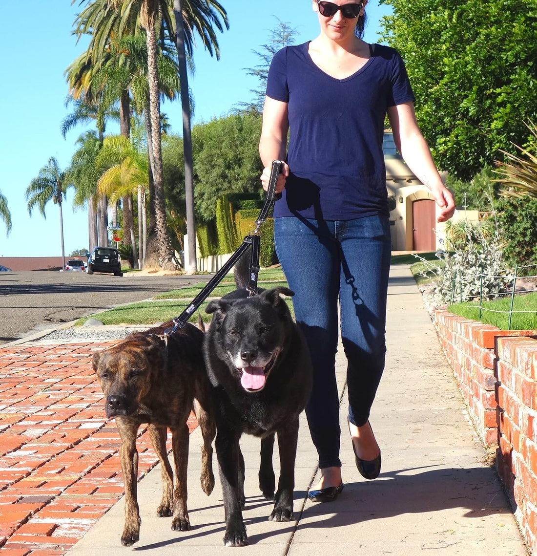 Leash Coupler