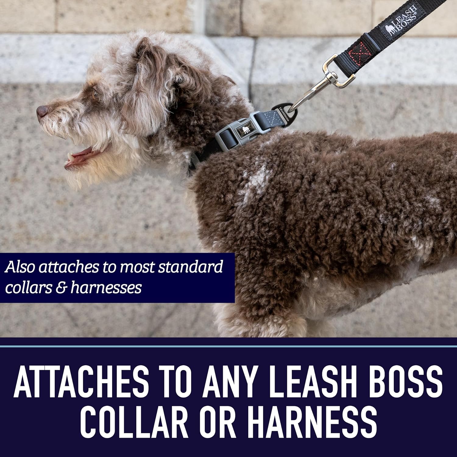 15 Foot Dog Leash with Padded Handle