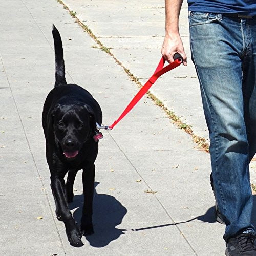 Traffic Handler 18 Inch - Heavy Duty Short Dog Leash for Large Dogs