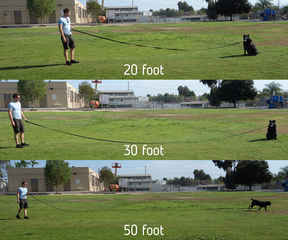 Long leash length comparison