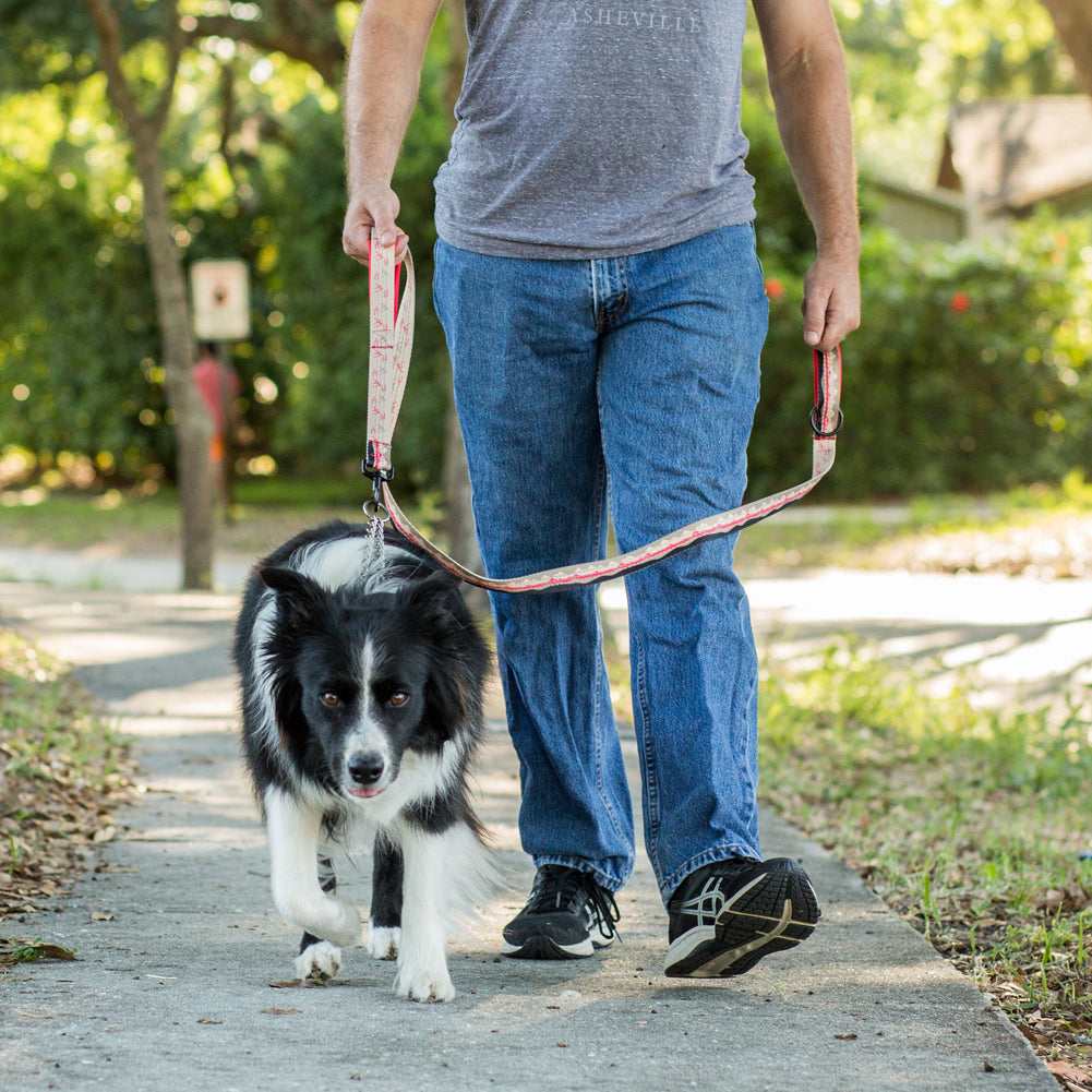 nhance your dog walking experience with the Leashboss Double Handle Dog Leash from the Pattern Collection. This 6Ft Reflective Dog Leash is ideal for large or medium dogs that pull. Featuring two padded handles, it ensures comfort and control, making walks safer and more enjoyable. Upgrade your pet gear today.