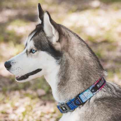 Space pattern reflective dog collar
