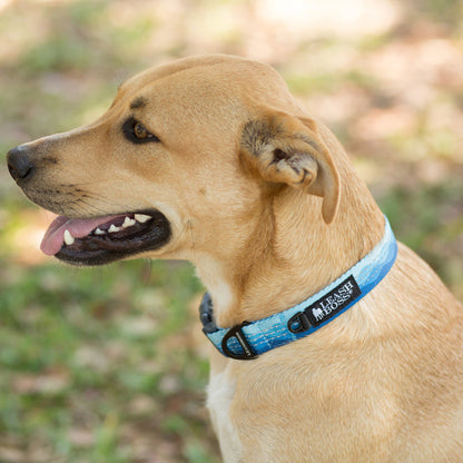 Wave pattern reflective dog collar