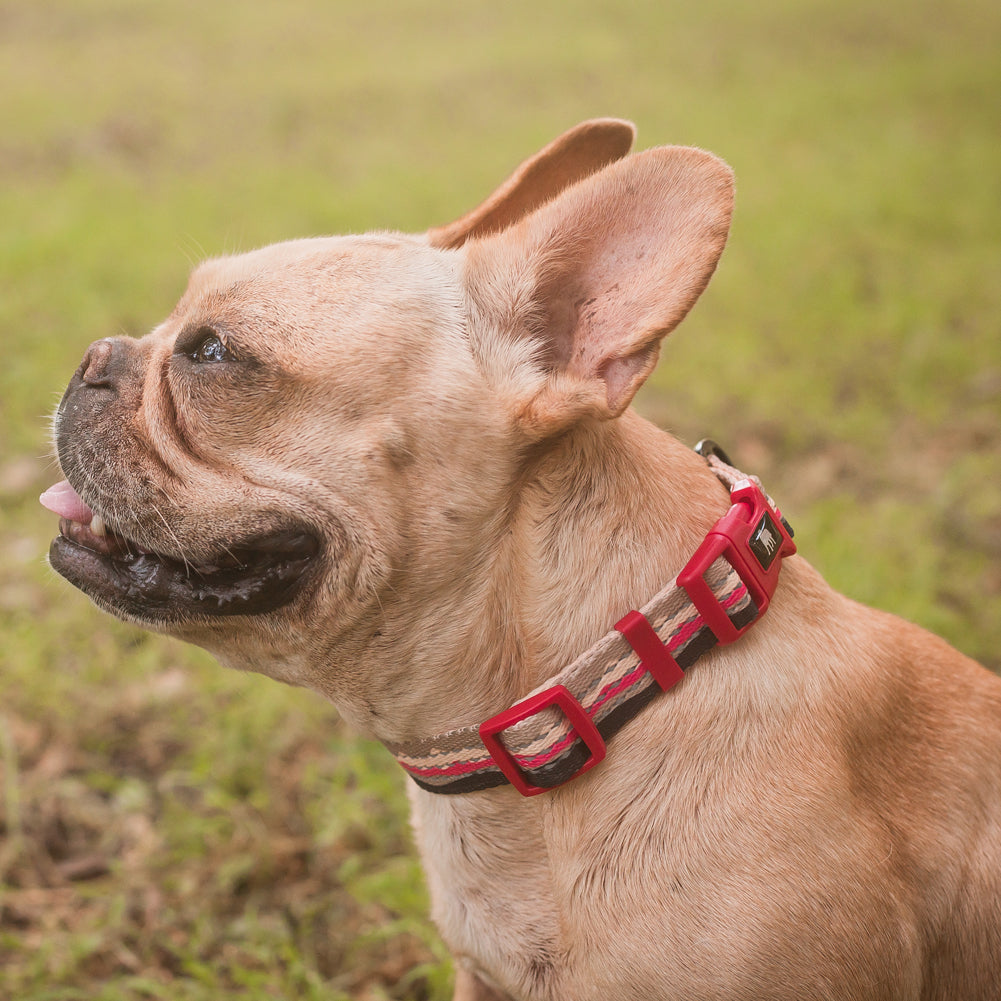 Mountain pattern reflective dog collar